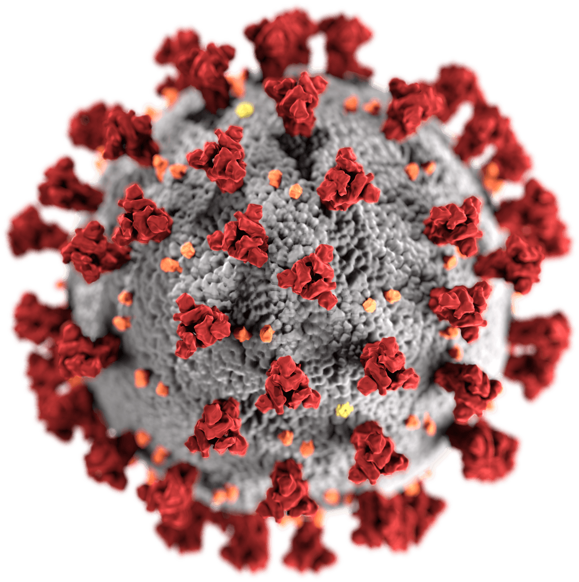 My solution to the COVID-19 mRNA Vaccine Degradation Prediction